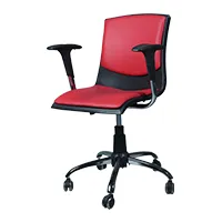 کارشناسی پرنس P029 